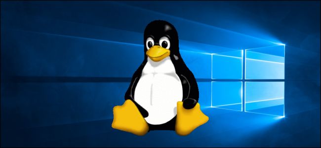 Windows 10 Is Getting Graphical Linux Apps With GPU Support